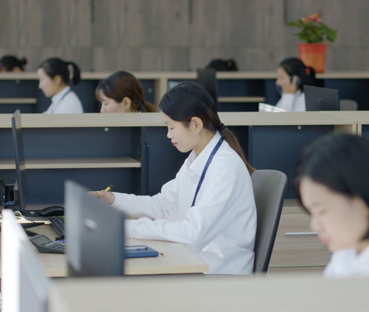 赛博体育在线登录